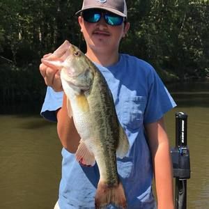 Meet your Posher, Wyatt